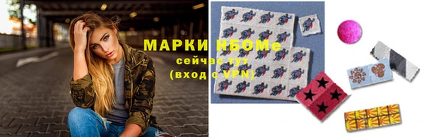 PSILOCYBIN Вяземский