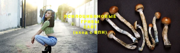 стафф Вязники