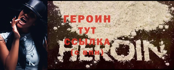 PSILOCYBIN Вяземский