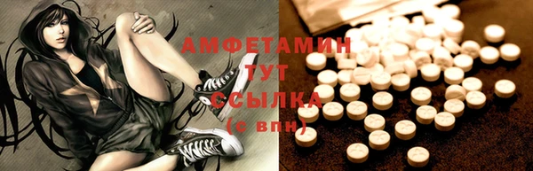PSILOCYBIN Вяземский