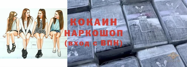PSILOCYBIN Вяземский